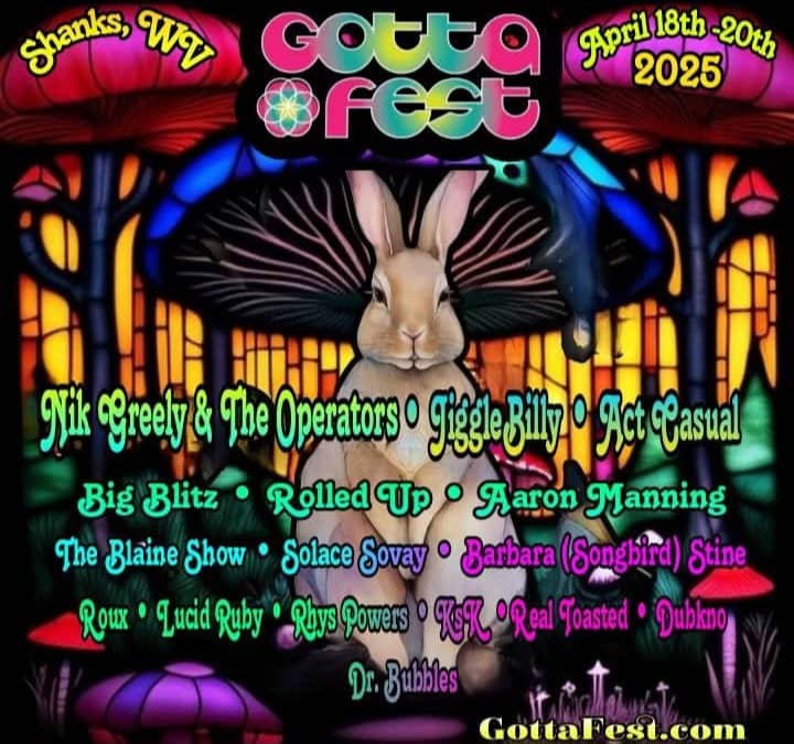 Gotta Fest - Image 1