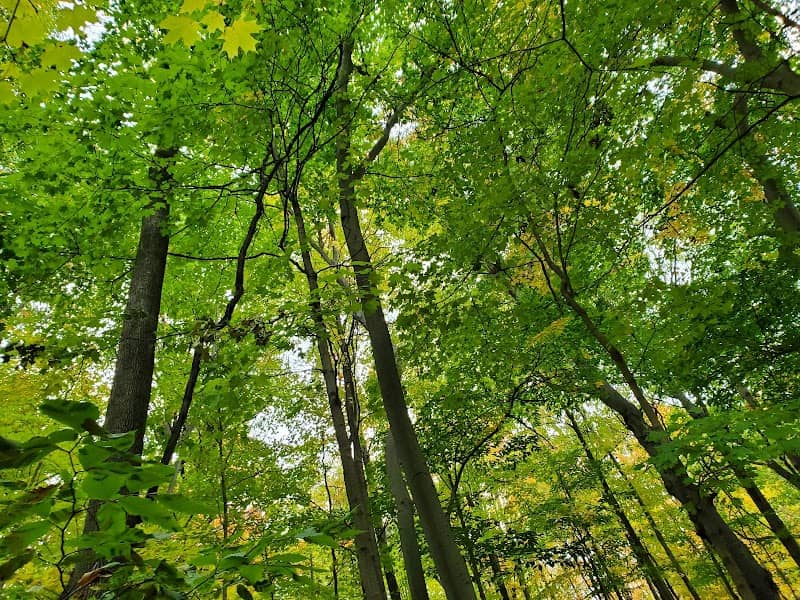 Woodland Hills Nature Park - Image 2