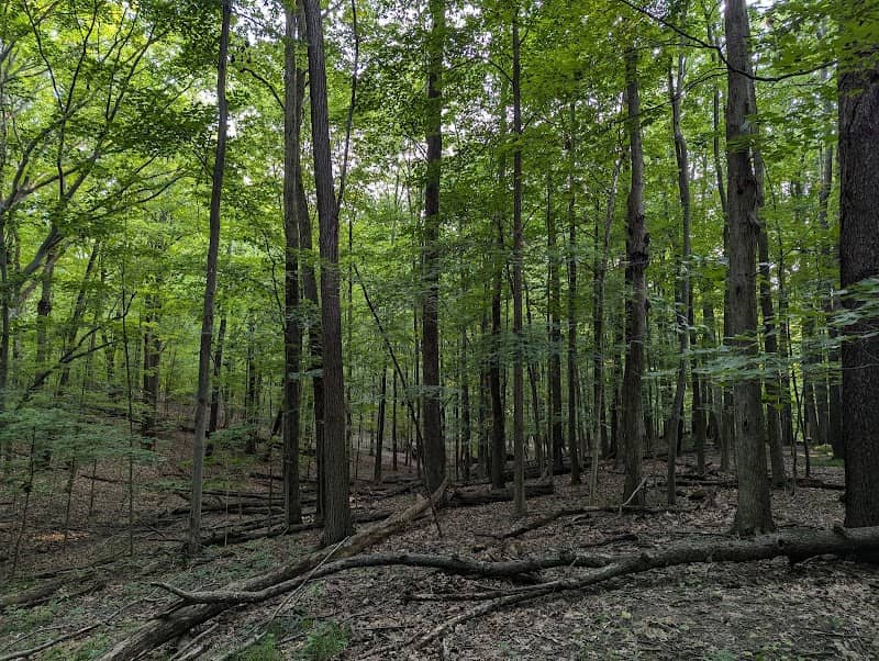 Woodland Hills Nature Park - Image 1