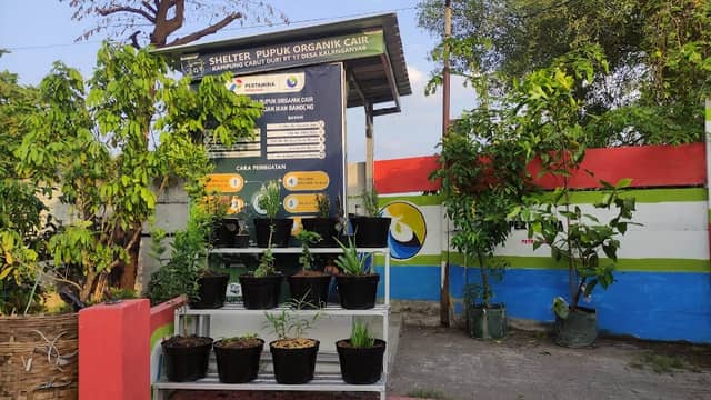 Kampung Cabut Duri Desa Kalanganyar - Image 1
