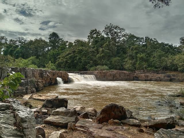 Sakunothayan Botanical Garden - Image 1