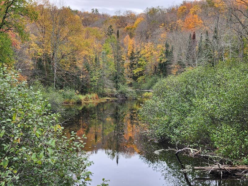 Brunsweiler River & Mineral Lake State Natural Area - Image 2
