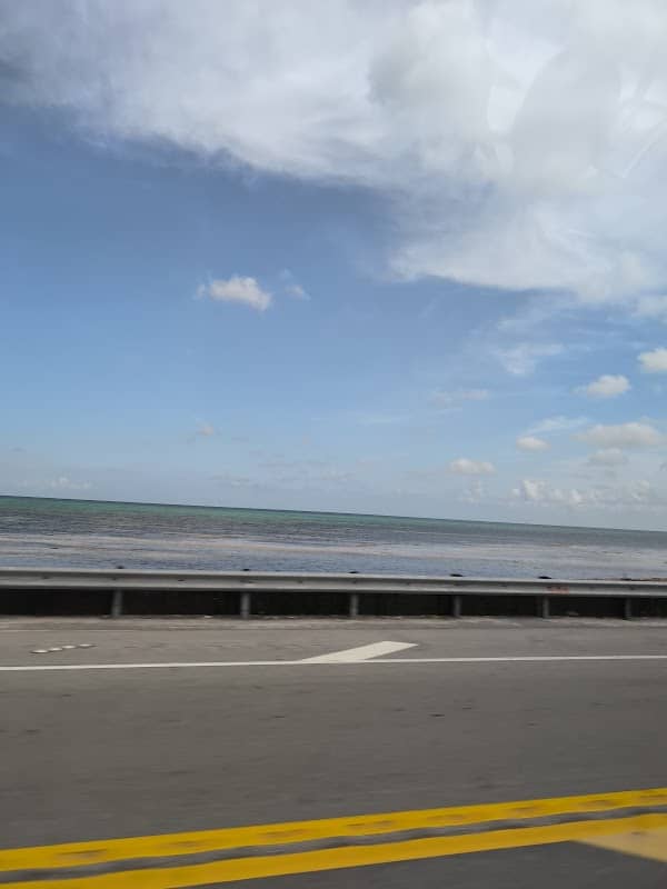 Sea Oats Beach - Image 1