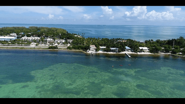 Sea Oats Beach - Image 3