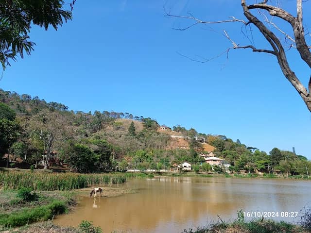Lago de Palmares - Image 1