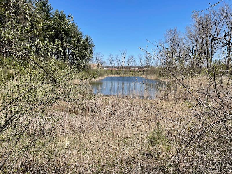 Nature Trail & Bridge - Image 1