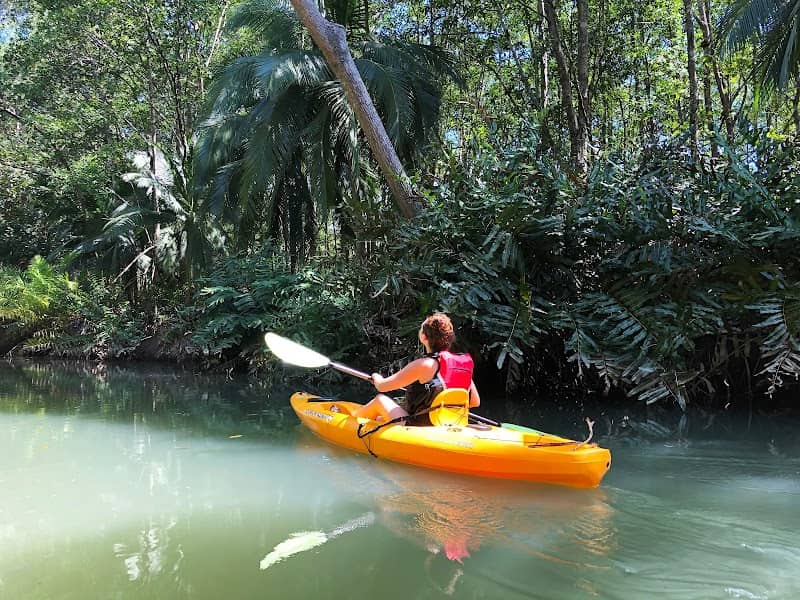 Mangrove Tours Nacarcosta - Image 2