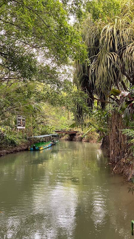Mangrove Tours Nacarcosta - Image 1