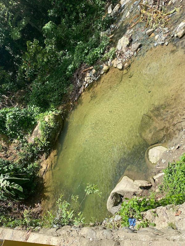 El puente de Bien - Image 1