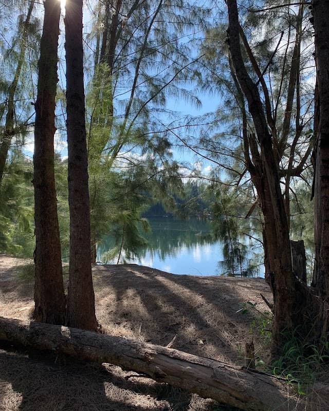 Wolf Lake Park - Image 1