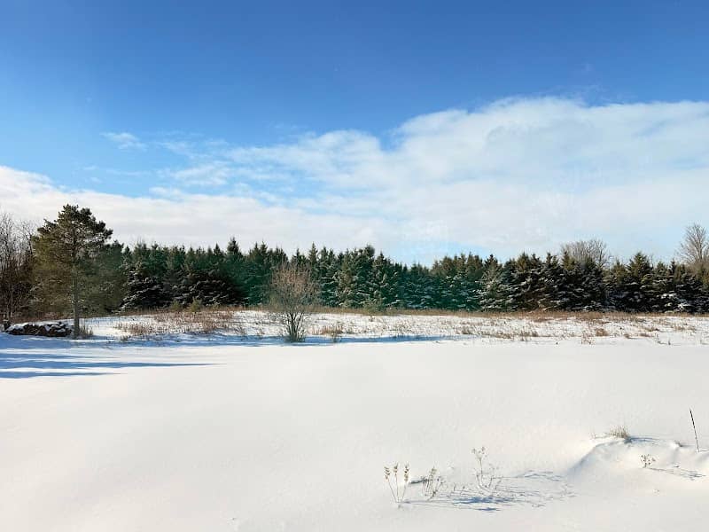 McSweeney Farm - Image 1