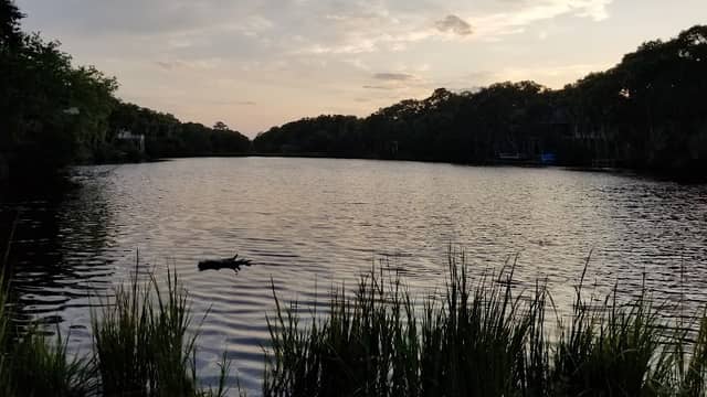 Burley L. Lyons Park - Image 2
