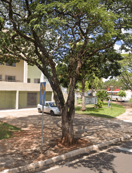 Praça das Palmeiras - Image 1