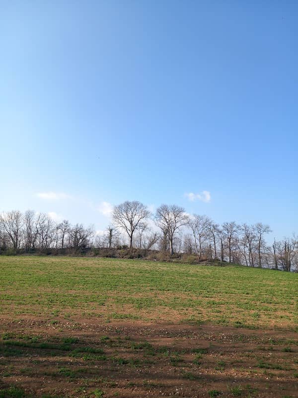 Parco Lonato 2 - Image 1