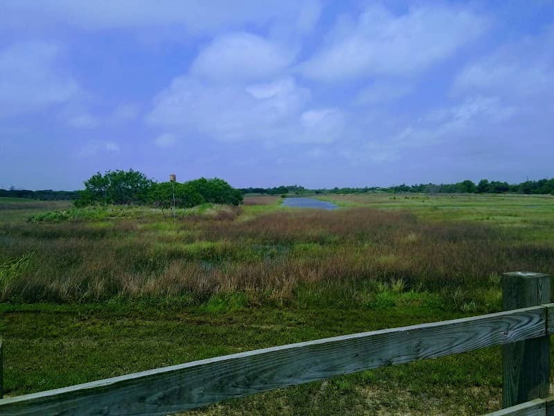 Whitney Lake Marsh Wildlife Refuge - Image 1