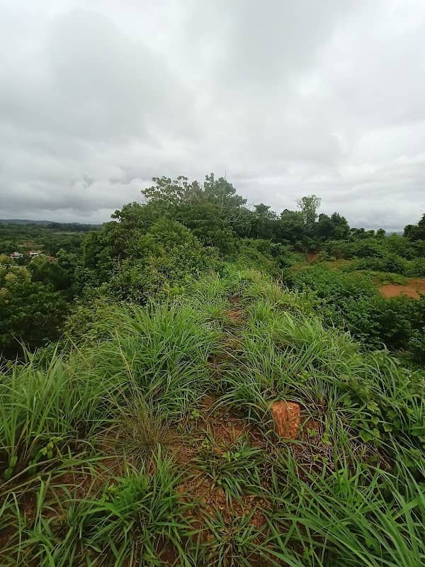 Oliyath Quarry Viewpoint - Image 2