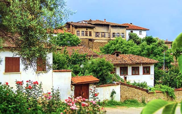 yeşil birgi - Image 1