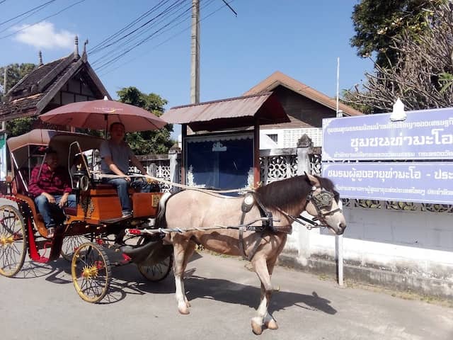 กาดไผ่ภิรมย์ริมวัง หน้าวัดประตูป่อง แหล่งท่องเที่ยว walk around old town - Image 2