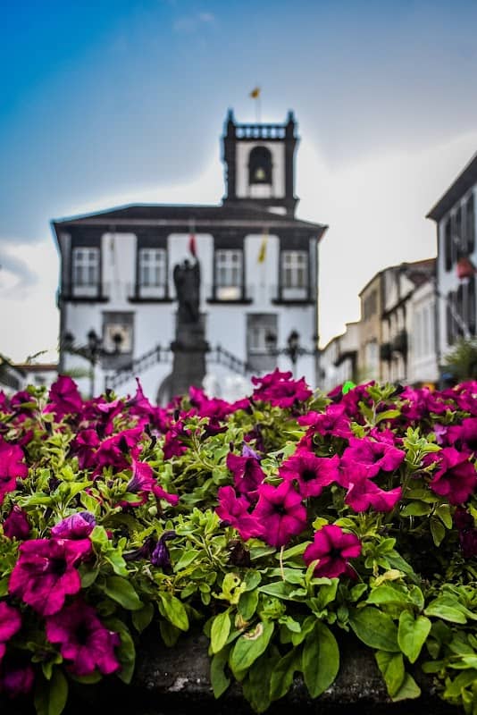 Fontanário da Câmara Municipal de Ponta Delgada - Image 2