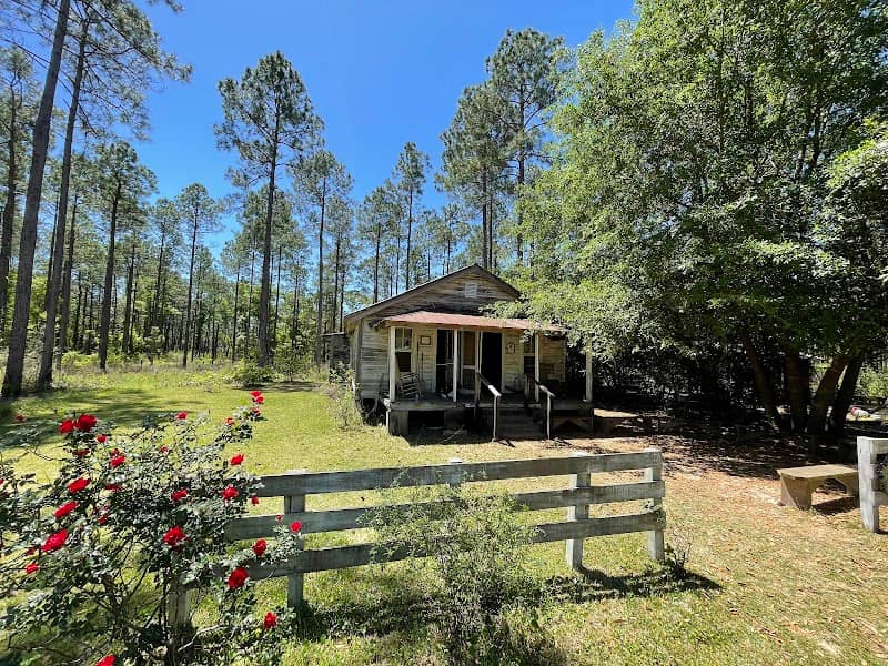 E.O. Wilson Biophilia Center - Image 1
