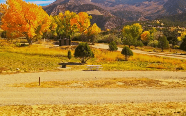 Chipper Loop Campground - Image 1