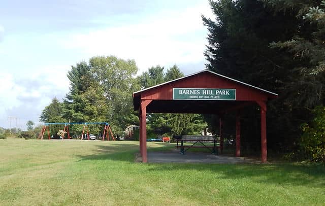 Barnes Hill Park - Image 1