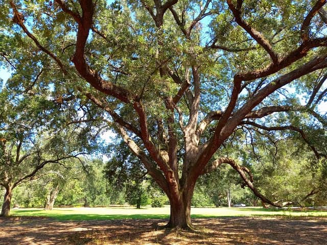 Sweetheart Circle - Image 1