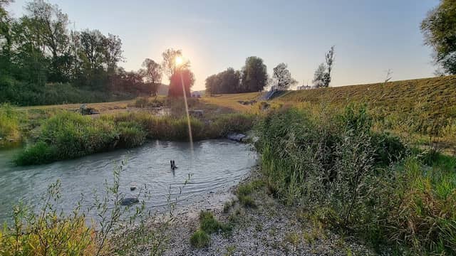 Fischtreppe - Image 1