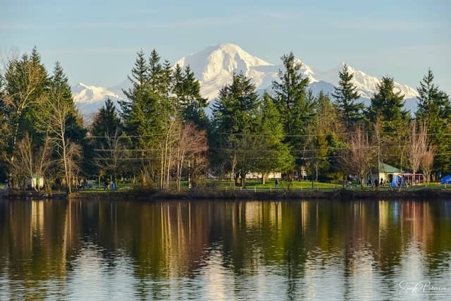 Mill Lake Park - Image 2