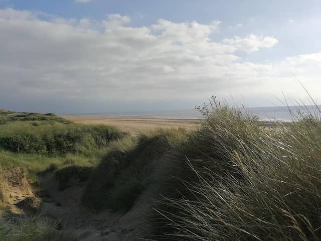 Ainsdale Pine Woods - Image 2