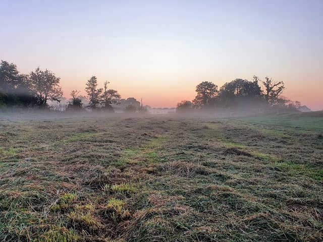 Cranbrook Country Park - Image 2