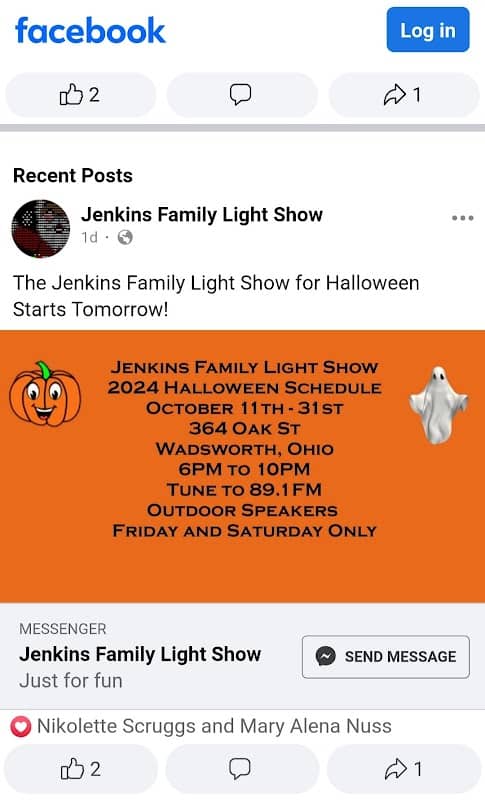 Jenkins Family Light Show - Image 2