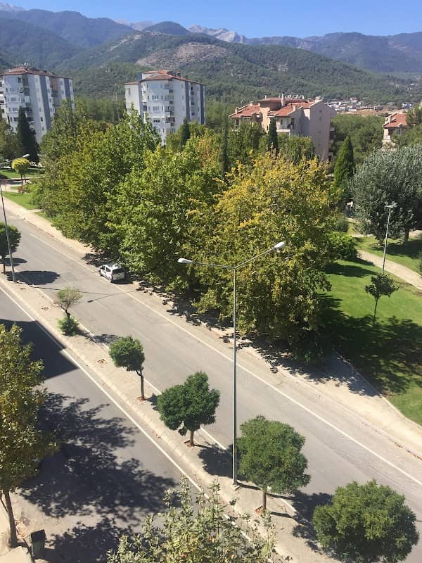 Park - Image 1