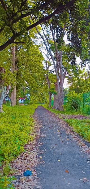 Children Park - Image 1