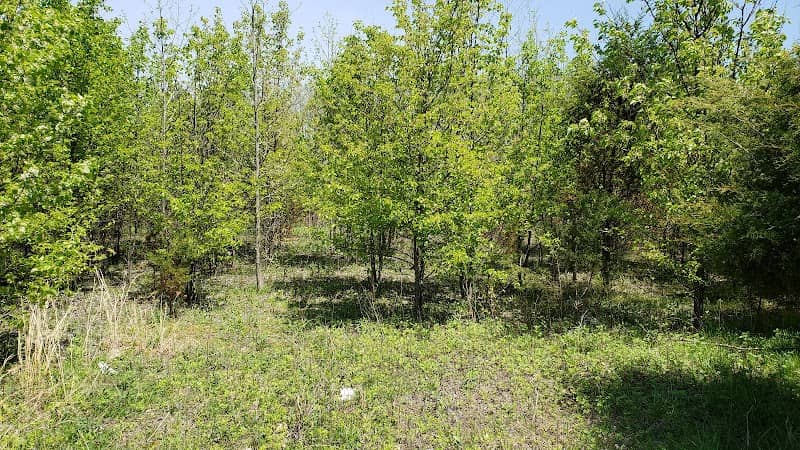 West Deptford Green Acres - Image 2