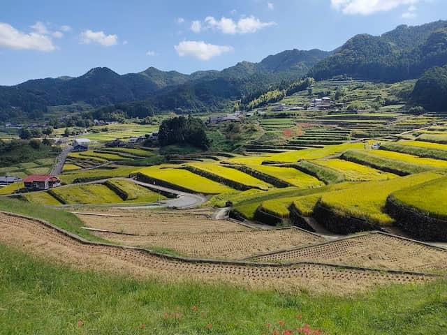 Onigi Rice Terraces - Image 1