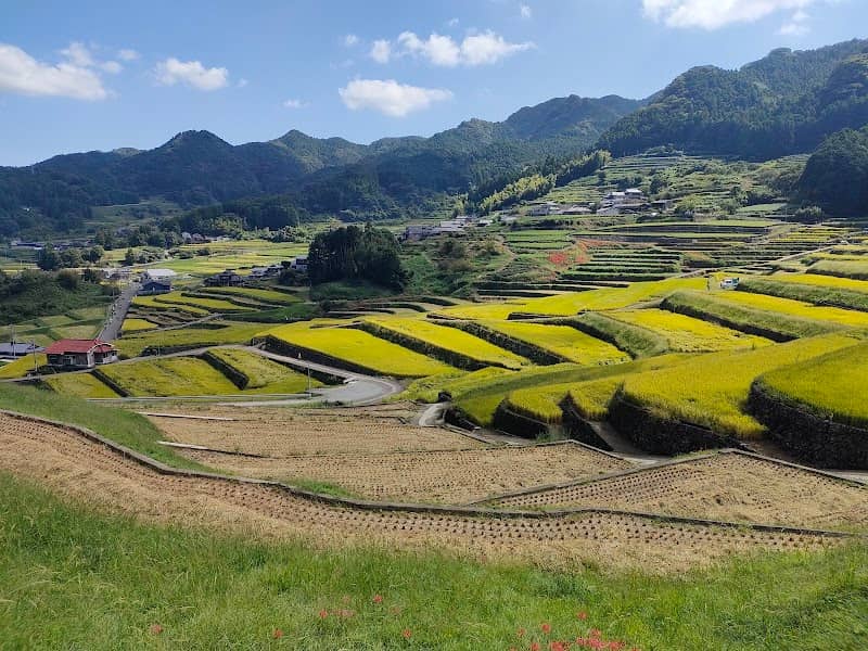 Onigi Rice Terraces - Image 1