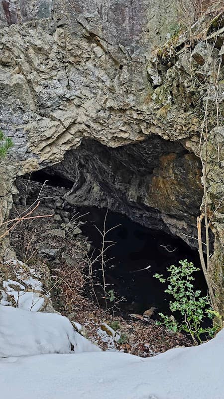Fuglevikstranda - Image 2