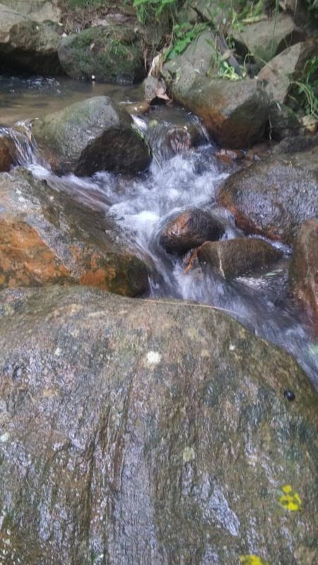 කැටලේ ඇල -KATALE EALA - Image 3