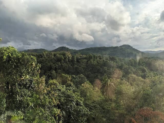 කැටලේ ඇල -KATALE EALA - Image 1