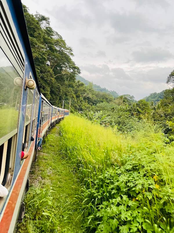 කැටලේ ඇල -KATALE EALA - Image 2