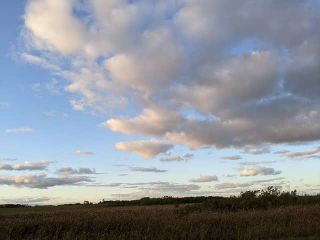 Brownton Waterfowl Production Area - Image 1