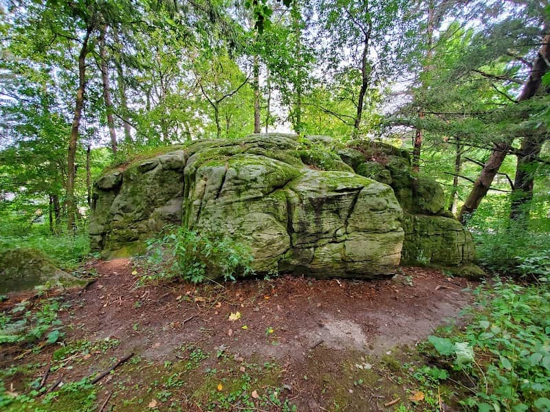 Davidson Park - Image 1