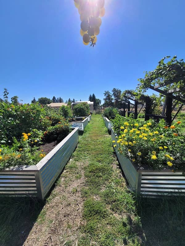 EWU Community Garden - Image 1