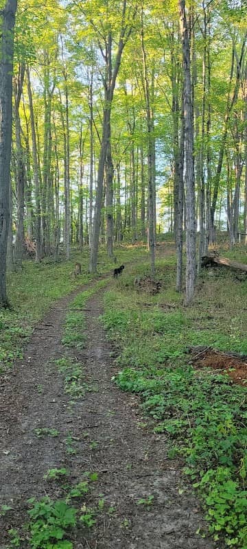 Humber Trails - Image 1