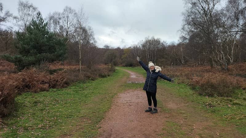Sherwood Heath Local Nature Reserve - Image 1