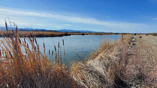 Mason Valley Wildlife Management Area - Image 3