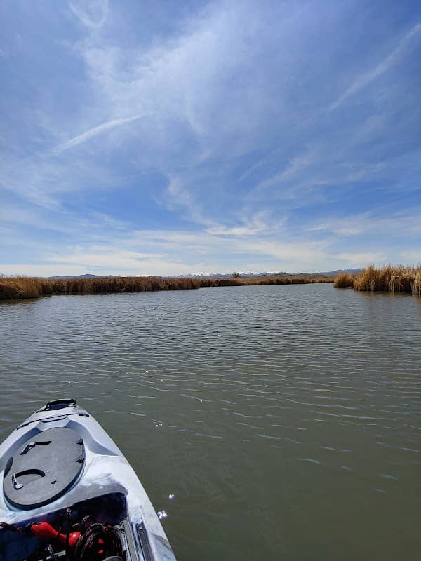 Mason Valley Wildlife Management Area - Image 1
