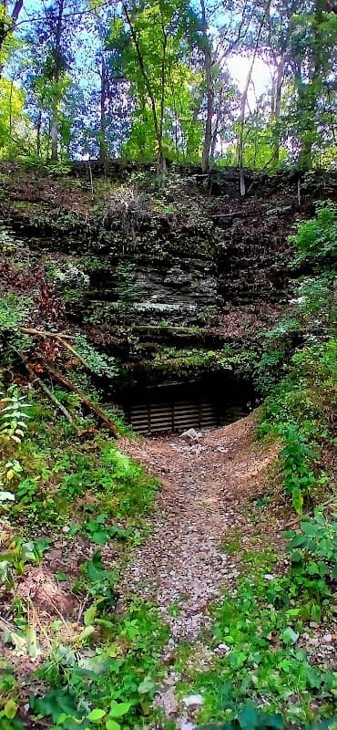 Bear Hollow Cave - Image 1