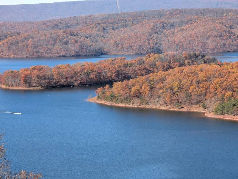 Terrace Mountain Wildlife Management Area - Image 2